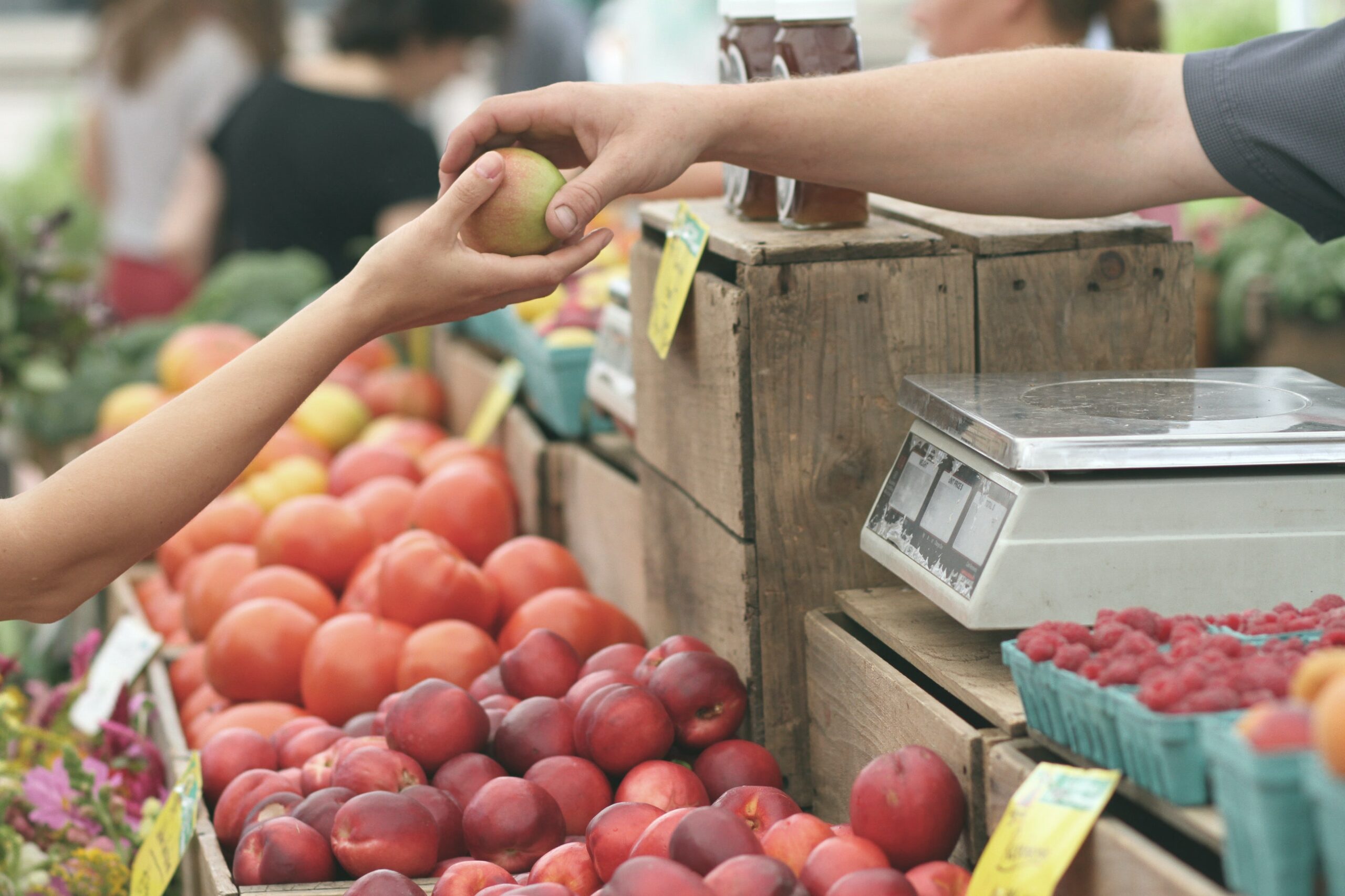 12 habitudes alimentaires durables : Bon pour vous, bon pour la Terre
