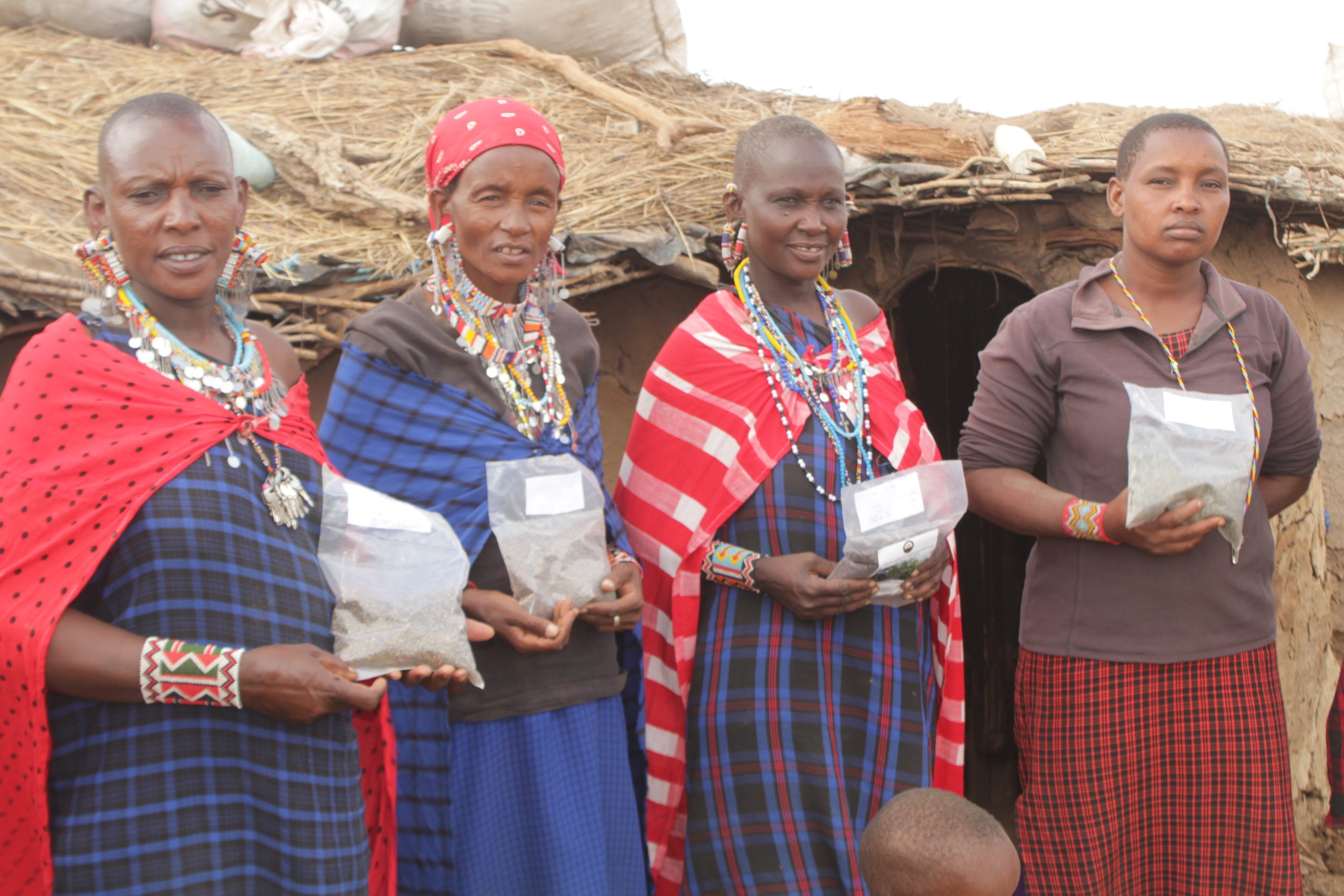 La communauté Maasai : Éducation, économie et conservation de l’environnement