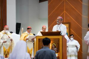Monseigneur Allwyn D'Silva