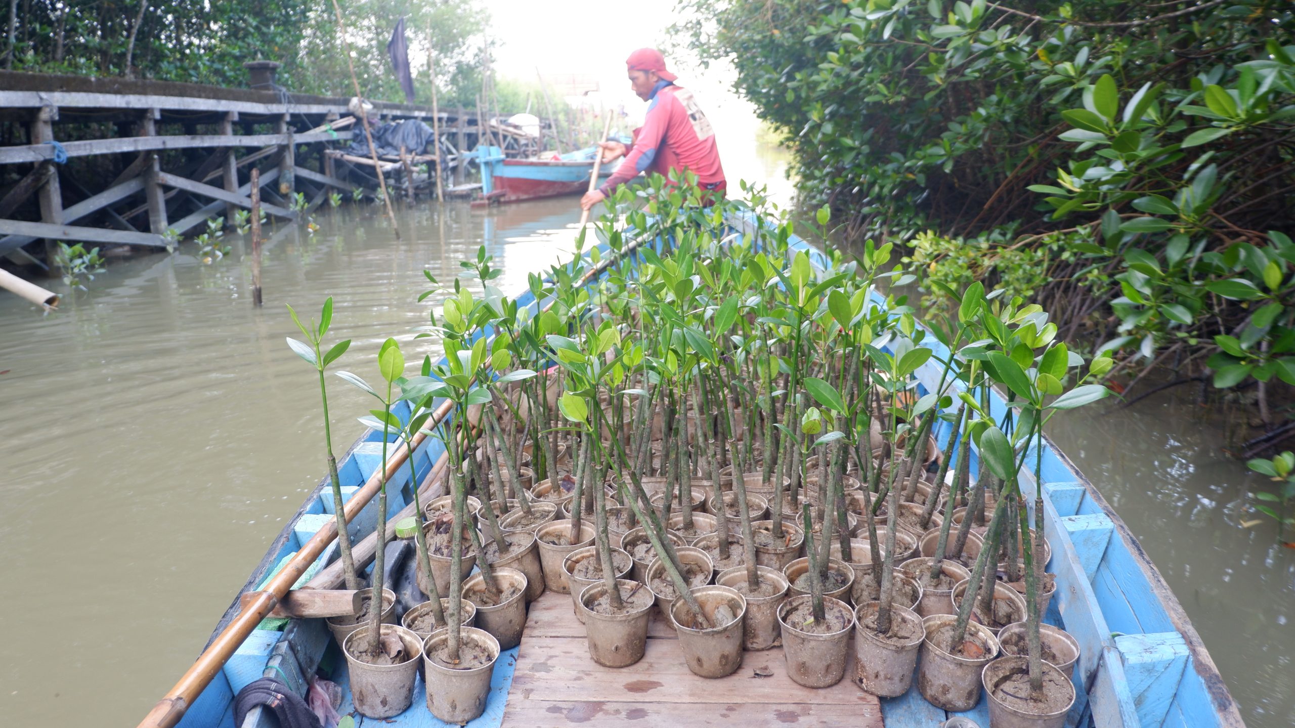 De l’intention à l’action: 4 leçons pour faire de la conversion écologique une réalité à grande échelle