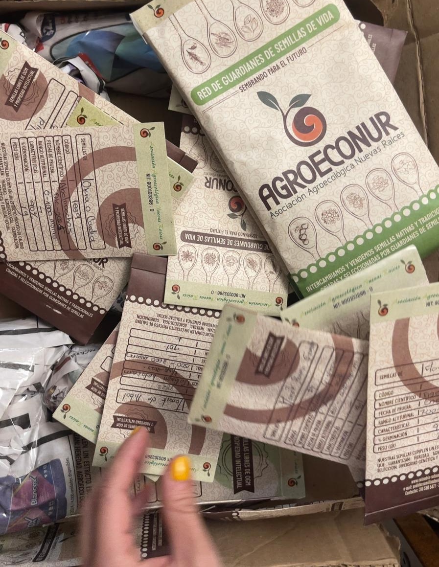 Des Graines d’Espérance Pour Notre Maison Commune : Une Alliance au Service de la Biodiversité et de l’Écologie Intégrale en Colombie