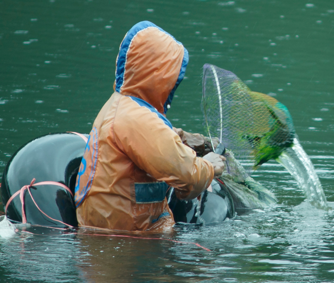 Que l’Eau Vive Coule : 4 Façons de Mettre le Temps Pour la Création en Action