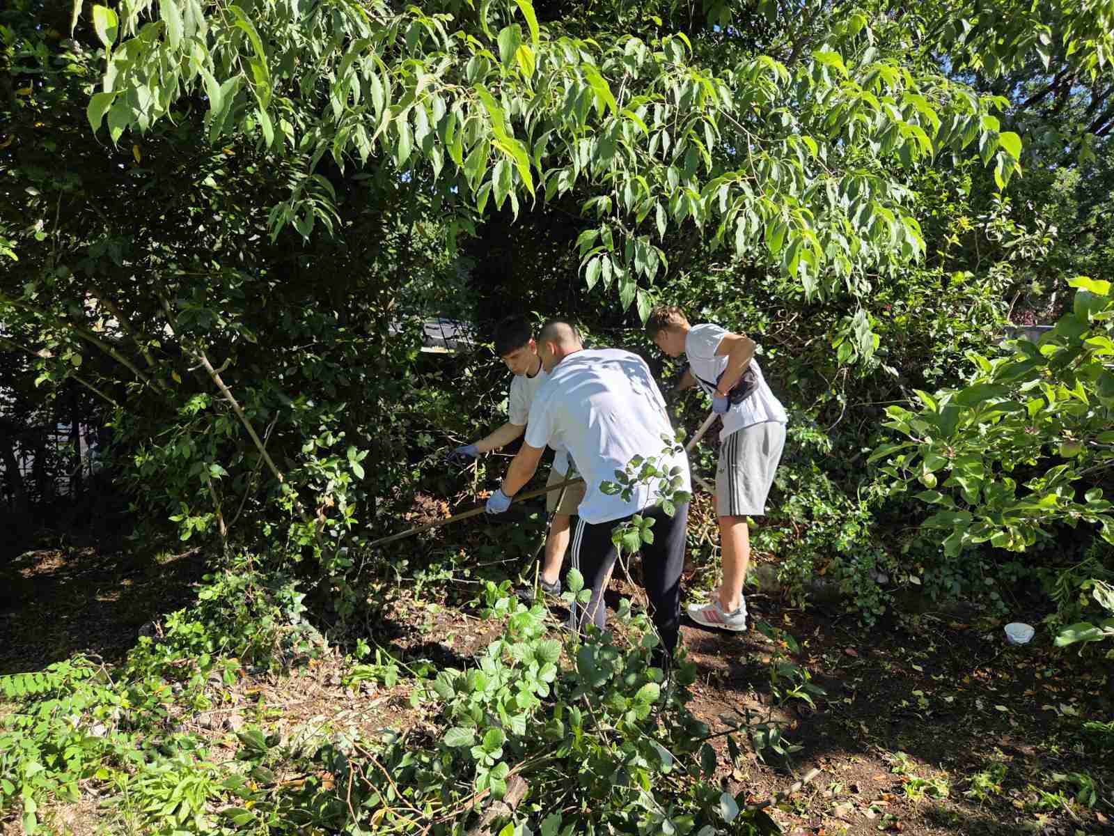 Des Évêques aux Paroisses : La Croatie Avance Sur le Chemin de l’Écologie Intégrale